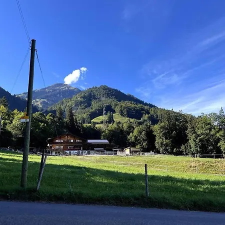 Zentrale In Reichenbach Apartmán
